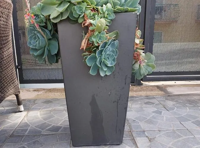 Vic Pigneto, Luxury House Terrace Roma