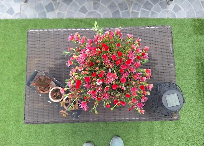 Vic Pigneto, Luxury House Terrace
